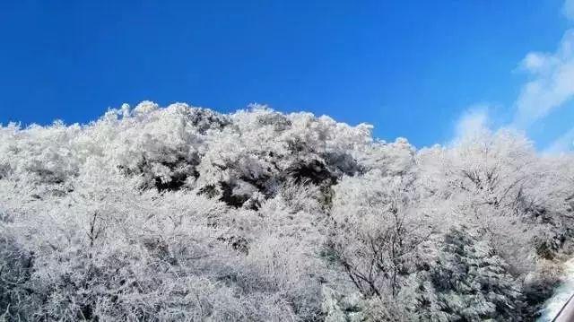 年轻TikTok“网红”们组织抗议亚马逊，为何其要求公司满足工会要求？